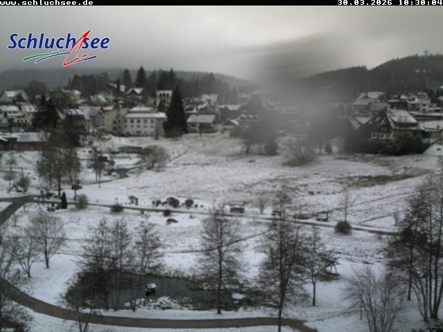 Archiv Foto Webcam Schluchsee: Wiesengrundpark