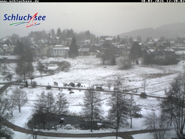 Archiv Foto Webcam Schluchsee: Wiesengrundpark