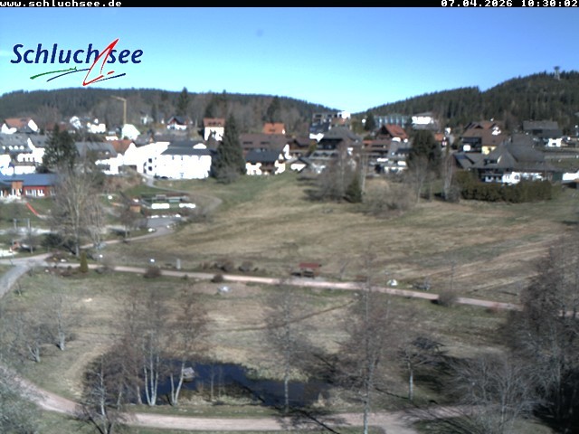 Archiv Foto Webcam Schluchsee: Wiesengrundpark