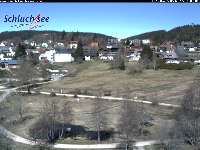 Archiv Foto Webcam Schluchsee: Wiesengrundpark