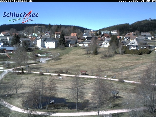 Archiv Foto Webcam Schluchsee: Wiesengrundpark