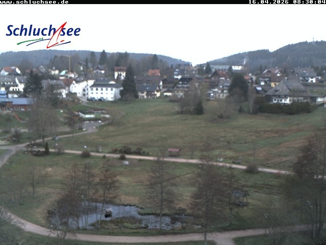 Archiv Foto Webcam Schluchsee: Wiesengrundpark