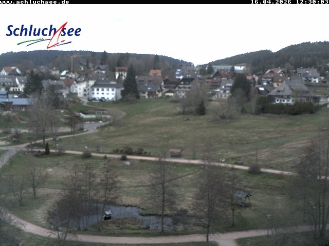 Archiv Foto Webcam Schluchsee: Wiesengrundpark