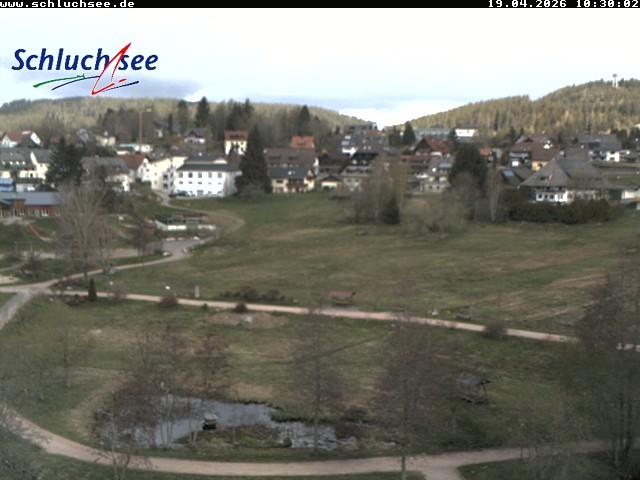 Archived image Webcam Schluchsee: recreation area Wiesengrundpark
