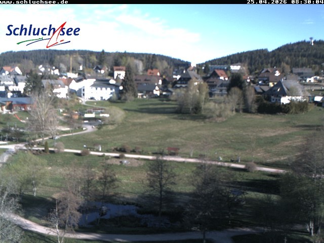 Archiv Foto Webcam Schluchsee: Wiesengrundpark