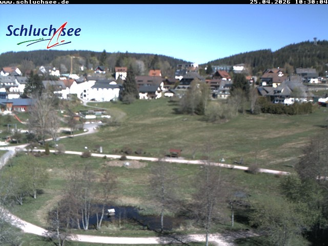 Archiv Foto Webcam Schluchsee: Wiesengrundpark