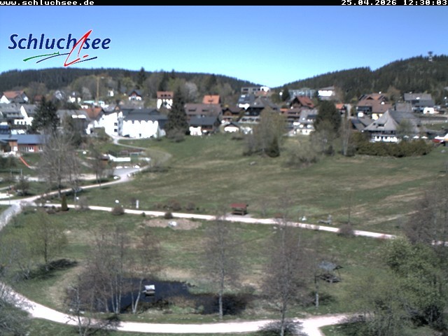 Archiv Foto Webcam Schluchsee: Wiesengrundpark