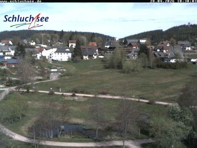 Archiv Foto Webcam Schluchsee: Wiesengrundpark