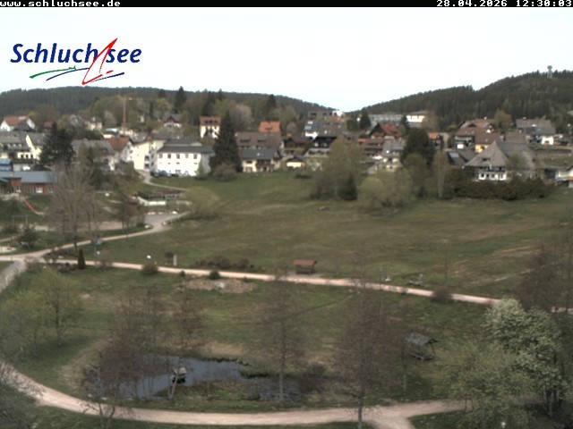Archiv Foto Webcam Schluchsee: Wiesengrundpark