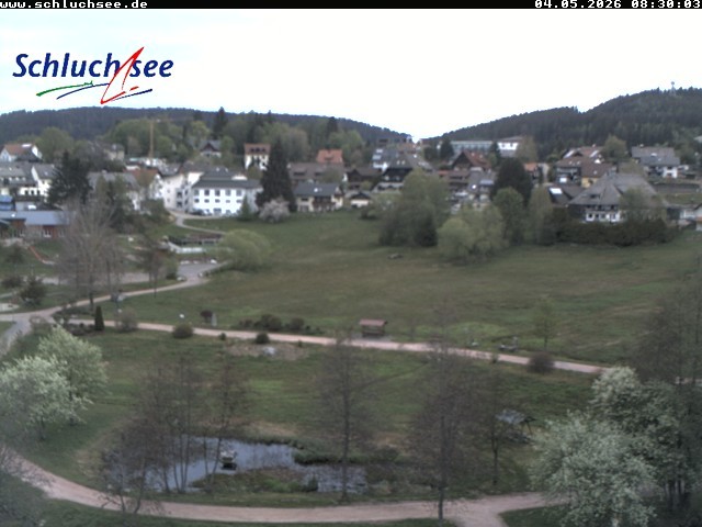 Archiv Foto Webcam Schluchsee: Wiesengrundpark