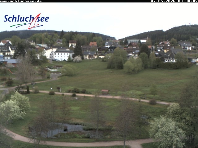 Archiv Foto Webcam Schluchsee: Wiesengrundpark
