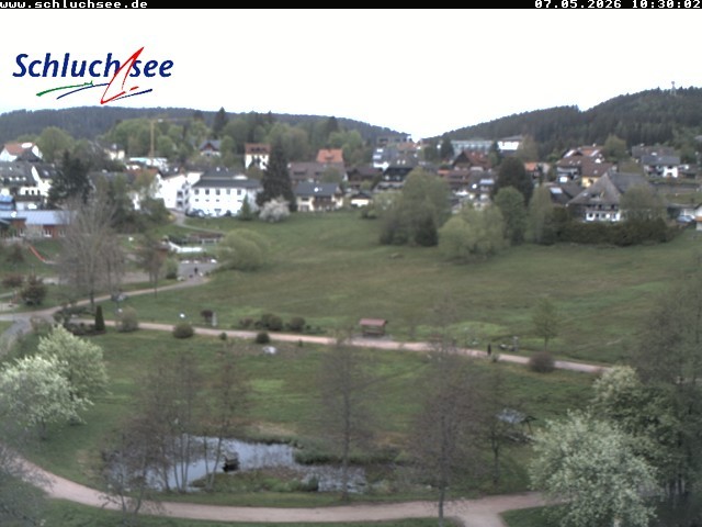 Archiv Foto Webcam Schluchsee: Wiesengrundpark