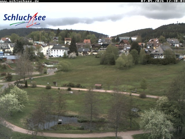 Archiv Foto Webcam Schluchsee: Wiesengrundpark