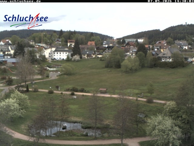 Archiv Foto Webcam Schluchsee: Wiesengrundpark