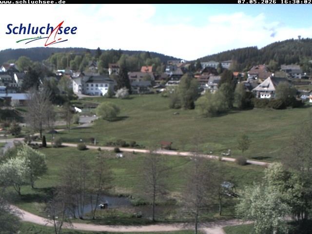 Archiv Foto Webcam Schluchsee: Wiesengrundpark