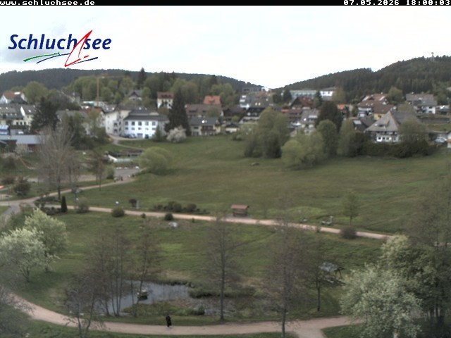 Archiv Foto Webcam Schluchsee: Wiesengrundpark