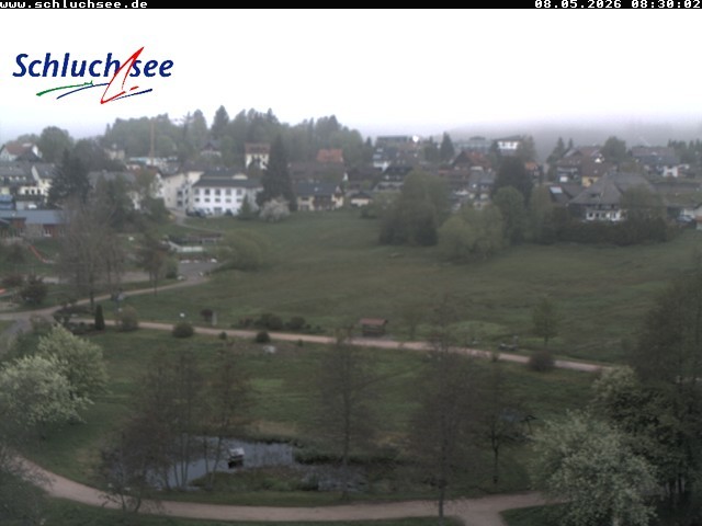 Archiv Foto Webcam Schluchsee: Wiesengrundpark