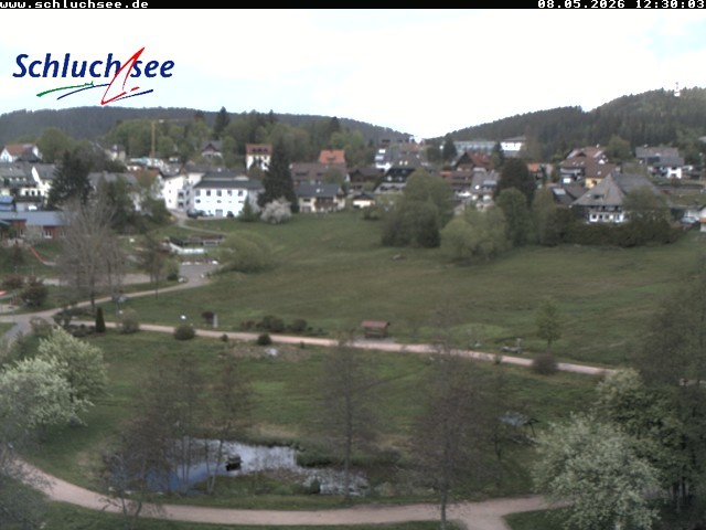 Archiv Foto Webcam Schluchsee: Wiesengrundpark