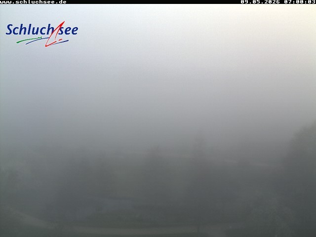 Archiv Foto Webcam Schluchsee: Wiesengrundpark