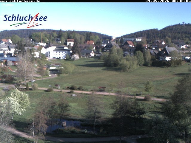 Archiv Foto Webcam Schluchsee: Wiesengrundpark
