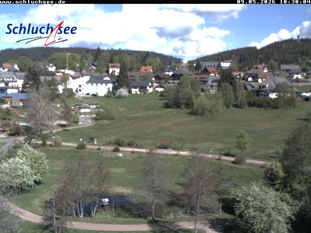 Archiv Foto Webcam Schluchsee: Wiesengrundpark