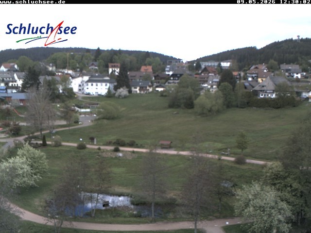 Archiv Foto Webcam Schluchsee: Wiesengrundpark