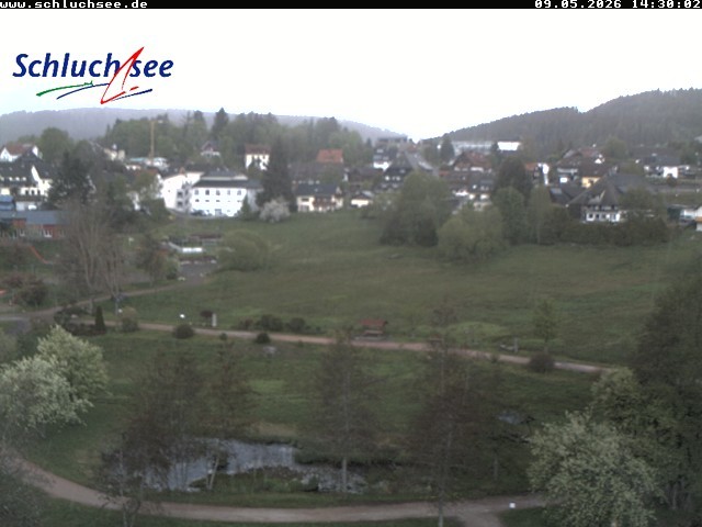 Archiv Foto Webcam Schluchsee: Wiesengrundpark