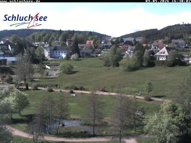 Archiv Foto Webcam Schluchsee: Wiesengrundpark