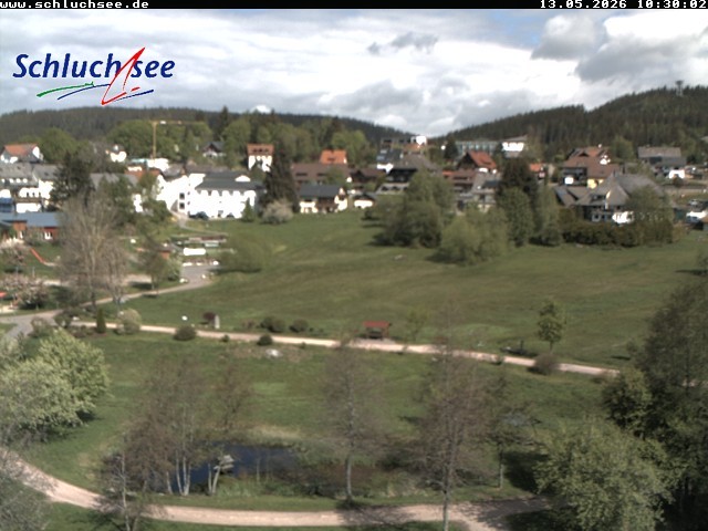 Archiv Foto Webcam Schluchsee: Wiesengrundpark