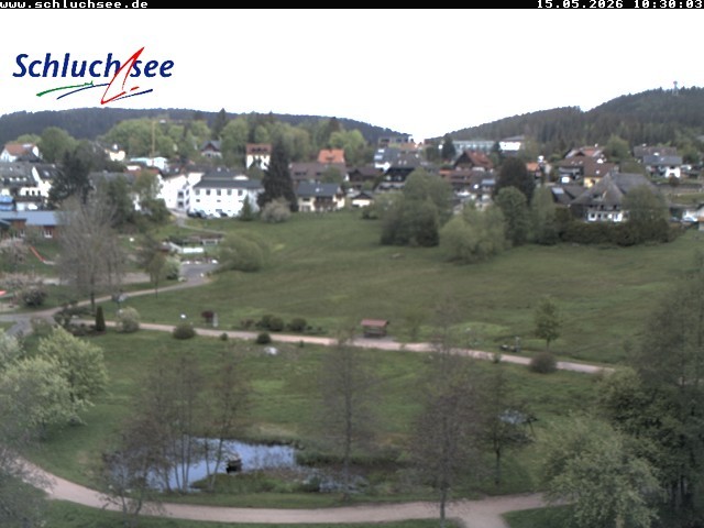 Archiv Foto Webcam Schluchsee: Wiesengrundpark