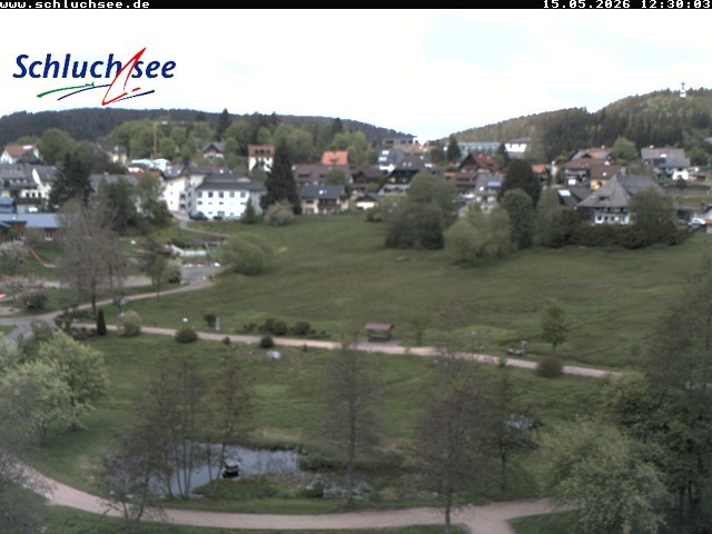 Archiv Foto Webcam Schluchsee: Wiesengrundpark