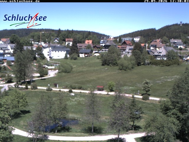 Archiv Foto Webcam Schluchsee: Wiesengrundpark