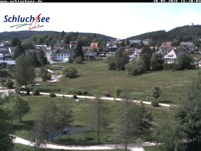 Archiv Foto Webcam Schluchsee: Wiesengrundpark