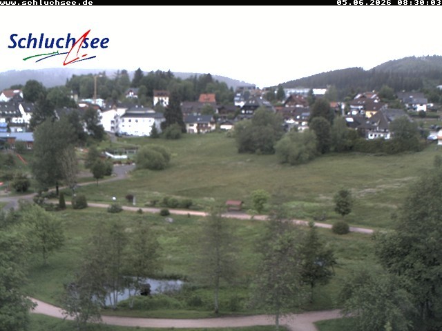 Archiv Foto Webcam Schluchsee: Wiesengrundpark