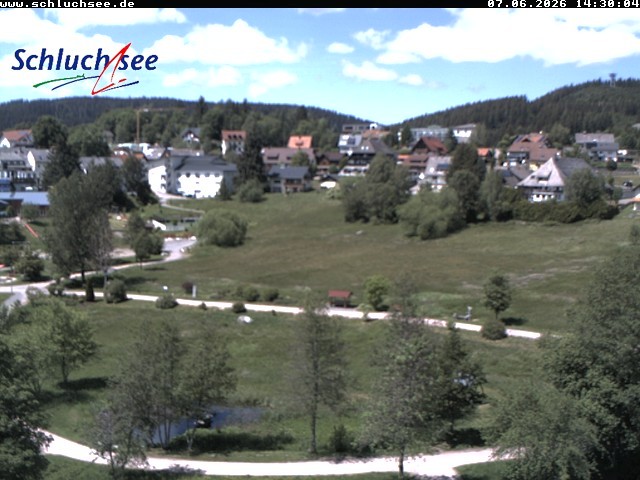 Archiv Foto Webcam Schluchsee: Wiesengrundpark