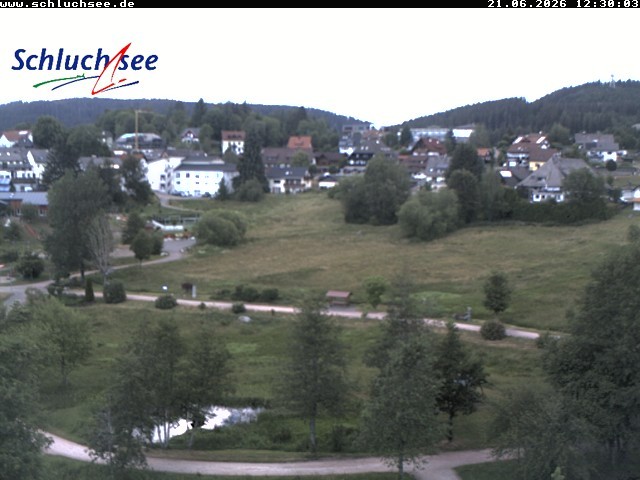 Archiv Foto Webcam Schluchsee: Wiesengrundpark