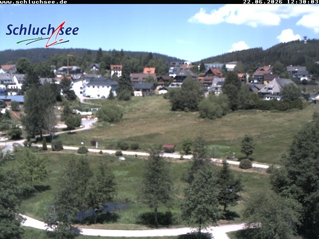 Archiv Foto Webcam Schluchsee: Wiesengrundpark