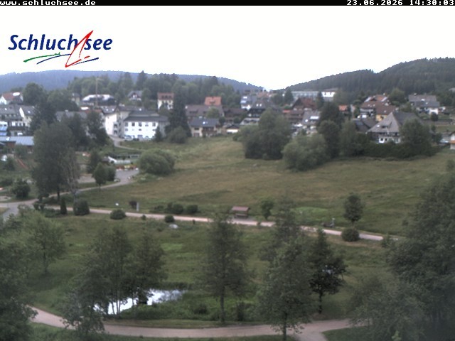 Archiv Foto Webcam Schluchsee: Wiesengrundpark