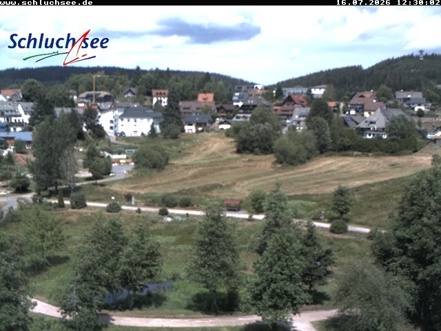 Archiv Foto Webcam Schluchsee: Wiesengrundpark