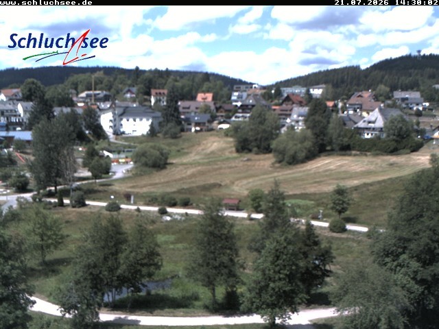 Archiv Foto Webcam Schluchsee: Wiesengrundpark