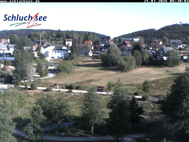 Archiv Foto Webcam Schluchsee: Wiesengrundpark