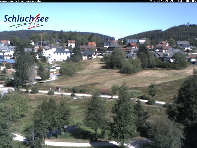 Archiv Foto Webcam Schluchsee: Wiesengrundpark