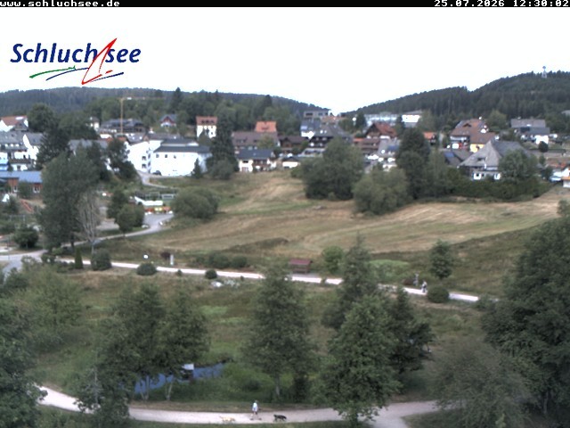 Archiv Foto Webcam Schluchsee: Wiesengrundpark