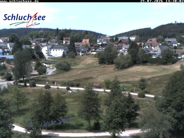 Archiv Foto Webcam Schluchsee: Wiesengrundpark