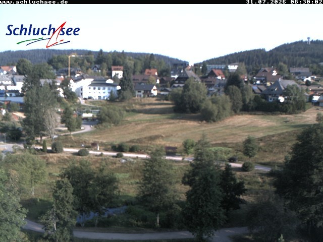 Archiv Foto Webcam Schluchsee: Wiesengrundpark