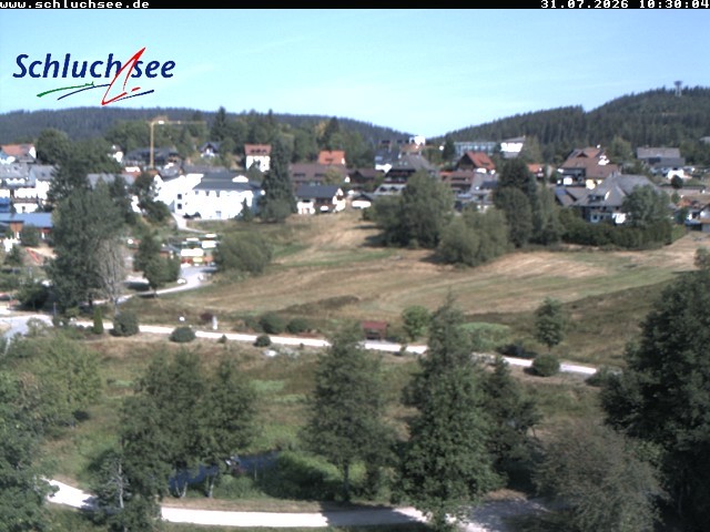 Archiv Foto Webcam Schluchsee: Wiesengrundpark