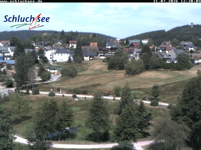 Archiv Foto Webcam Schluchsee: Wiesengrundpark