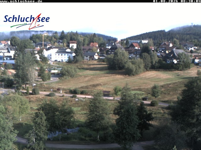 Archiv Foto Webcam Schluchsee: Wiesengrundpark