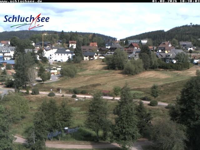 Archiv Foto Webcam Schluchsee: Wiesengrundpark