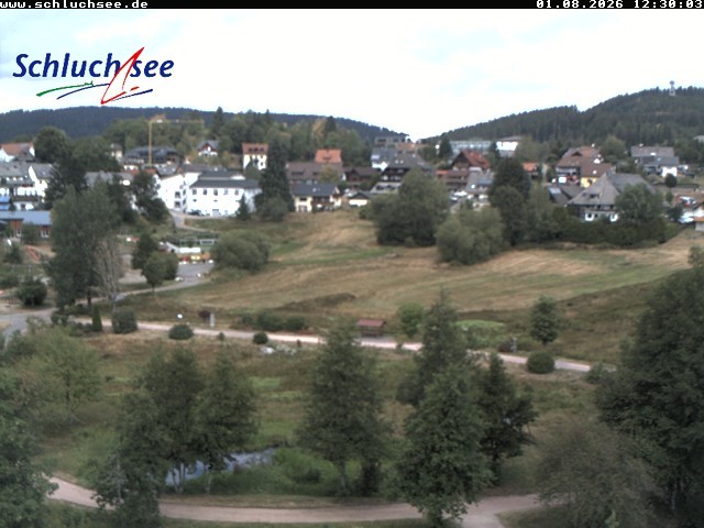 Archiv Foto Webcam Schluchsee: Wiesengrundpark